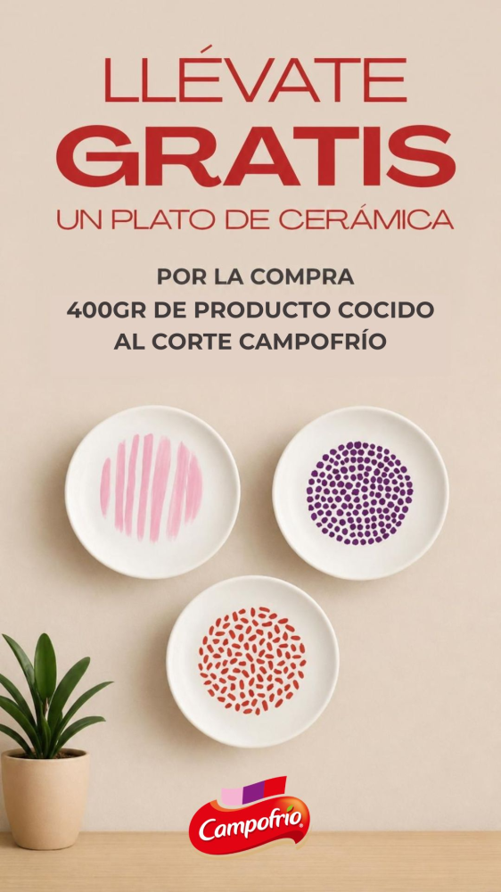 UN PLATO DE CERÁMICA DECORADO de regalo