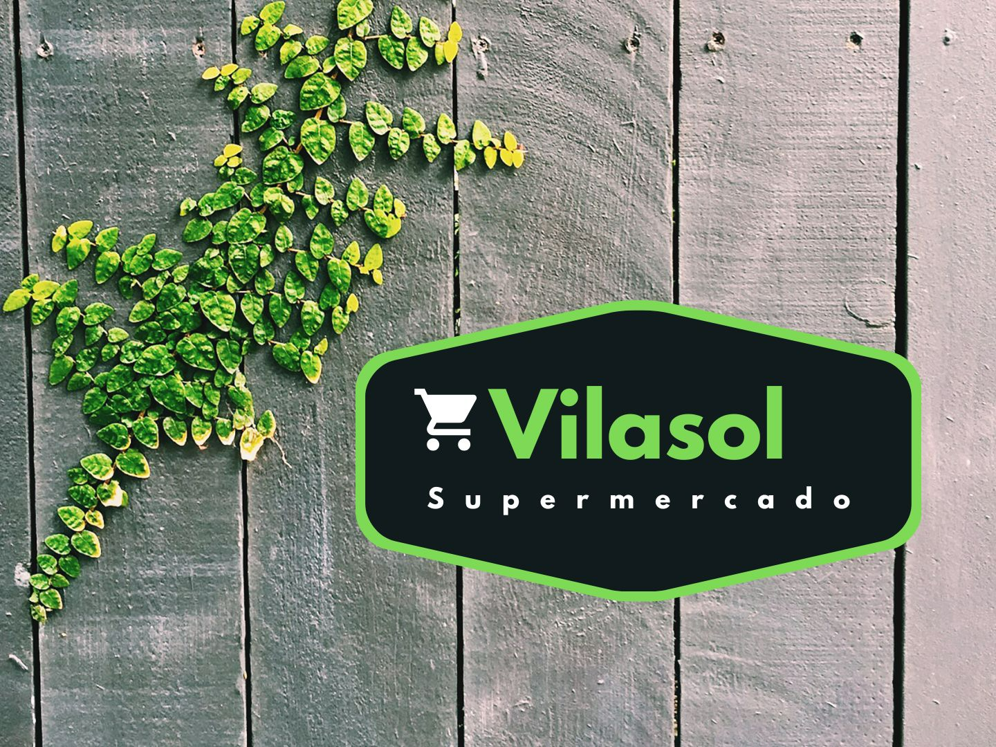 Imagen principal - ALIMENTACION VILASOL