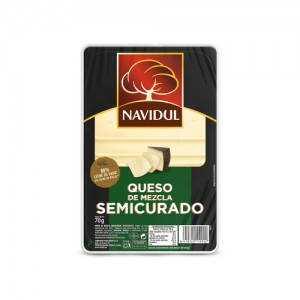 NV QUESO SEMI LONCHAS 100G 2E NV QUESO SEMI LONCHAS 100G 2E