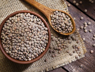 LENTEJA PARDINA LENTEJA PARDINA