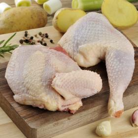 MEDIA GALLINA MEDIA GALLINA