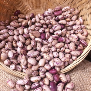 ALUBIA PINTA ALUBIA PINTA