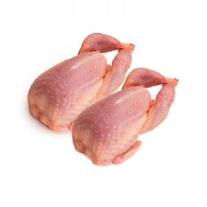 CODORNICES CODORNICES